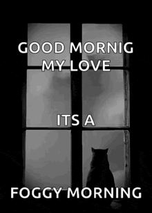 a black and white photo of a cat looking out a window with the words `` good morning my love its a foggy morning '' .