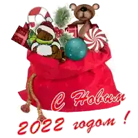 a red christmas bag with a teddy bear in it and the year 2022