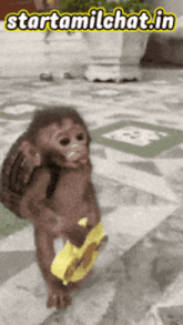 a monkey is carrying a backpack and holding a toy guitar with the words starttamilchat.in written above it