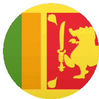 a lion holding a sword on a red and yellow flag