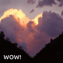 a heart shaped cloud in the sky with the word wow below it