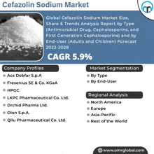 a flyer for cefazolin sodium market shows the company profiles and market segmentation