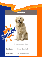 a picture of a dog with sunkist written on it