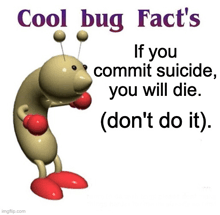 a picture of a bug that says cool bug facts if you commit suicide you will die ( don 't do it )