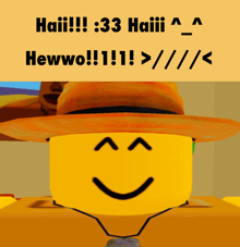 a yellow face with a straw hat and the words haiii 33 haiii hewwo !!!
