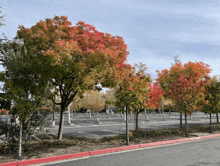 a row of trees with red and green leaves along a road