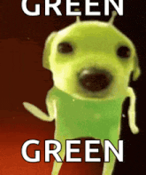 a dog wearing a green shirt with the words `` green green '' written above it .