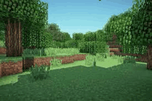 a minecraft scene with trees and grass and a blue sky