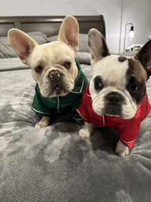 two french bulldogs laying on a bed wearing matching pajamas