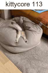 a picture of a cat laying on a bean bag chair with the number 113 on the bottom