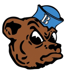 a brown bear with a blue sailor hat with the letter b on it