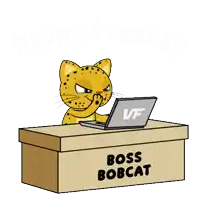 a cartoon of a cat sitting at a desk with a laptop and a box that says boss bobcat on it