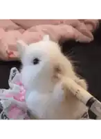 a small white rabbit is eating a piece of food