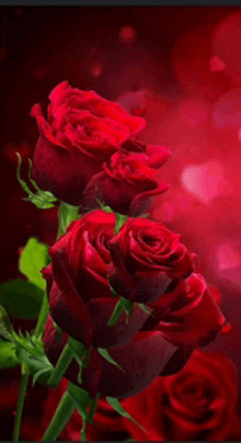 a bunch of red roses with green stems on a red background