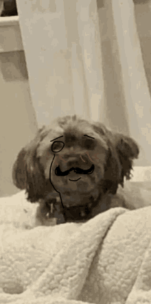 a dog with a mustache is laying on a bed with its eyes closed