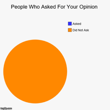 a pie chart shows the number of people who asked for your opinion