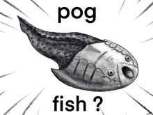 a black and white drawing of a fish with the words pog fish underneath it