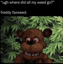 a freddy fazbear is surrounded by marijuana leaves and says " ugh where did all my weed go "