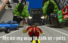 a video game scene with the words " me on my way to talk in #pets " at the bottom