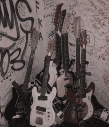 several guitars are lined up in front of a wall that has graffiti on it including one that says suck a fucking rocker