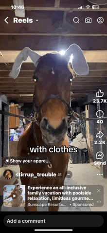 a horse wearing bunny ears is featured on a facebook reel