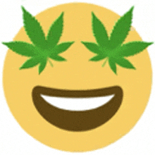 a smiling smiley face with marijuana leaves covering its eyes .