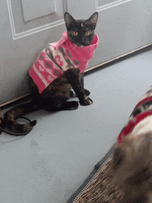 a cat wearing a pink sweater with hearts on it sits in front of a door