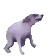 a purple dog is standing on a white surface .