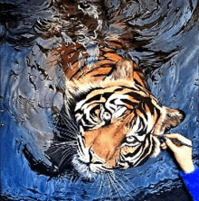 a person is painting a tiger in the water with a blue background