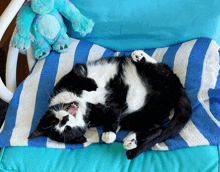 a black and white cat is laying on its back on a striped towel