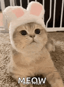a cat wearing a hat with bunny ears is laying on the floor and says meow .