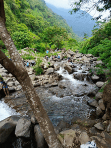 a river flowing through a lush green forest with people sitting on the rocks