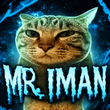 a picture of a cat with the name mr iman