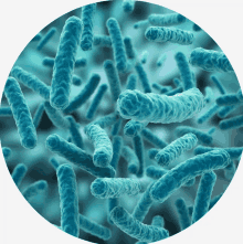 a group of blue bacteria in a circle