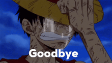 a man in a straw hat is crying and the word goodbye is written above him