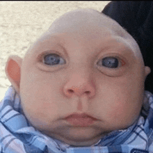 a baby with a large head and blue eyes is wearing a plaid shirt and making a funny face .