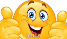 a smiley face is giving two thumbs up and the word sally is on the bottom