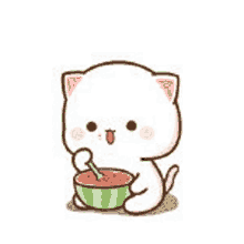 a white cat is eating a watermelon with a spoon .