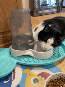 a black and white cat is drinking water from a water dispenser