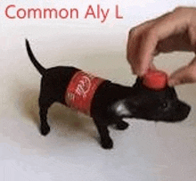 a person is putting a red cap on a toy dog that looks like a coca cola bottle .