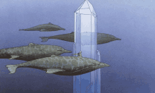 a drawing of dolphins swimming around a clear crystal