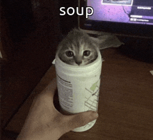 a person is holding a bottle of soup with a cat in it .