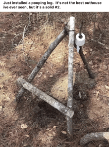 a pooping log with a roll of toilet paper hanging from it