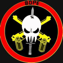 a skull with a knife in its mouth is in a red circle with two crossed guns .