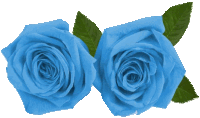 a pair of blue roses with green leaves