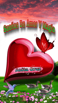 a picture of a heart with a butterfly and the name anita cruz on it