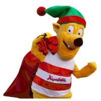 a mascot wearing a striped shirt that says aquafollic