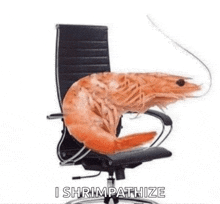 a shrimp is sitting in an office chair with the words i shrimpathize written below it