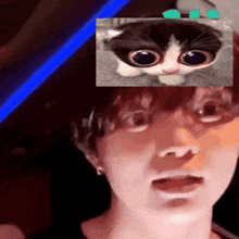 a person with a picture of a cat on their face
