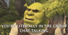 shrek from shrek is talking to someone in a group chat
